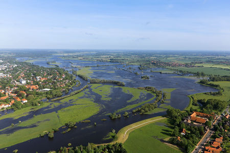 Luftaufnahme Überschwemmungsgebiet Alte Aller