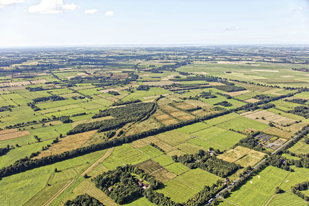Luftaufnahme Hochmoor und Grünland am Heiddeich