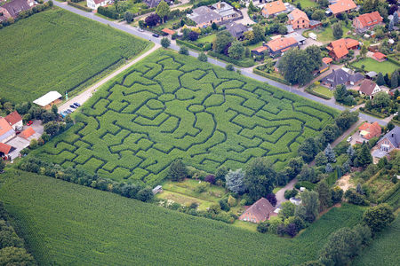 Luftaufnahme Maislabyrinth Sackhofsweg