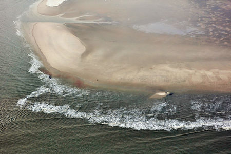 Luftaufnahme Pottwale auf Nordseeinsel